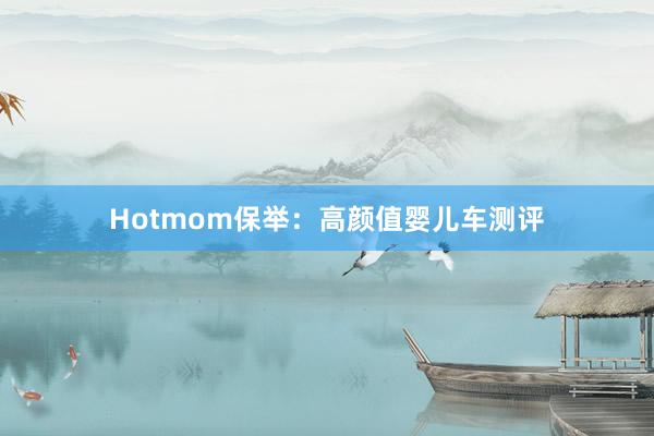 Hotmom保举：高颜值婴儿车测评